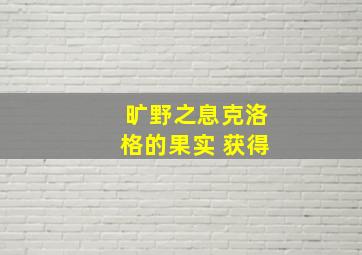 旷野之息克洛格的果实 获得